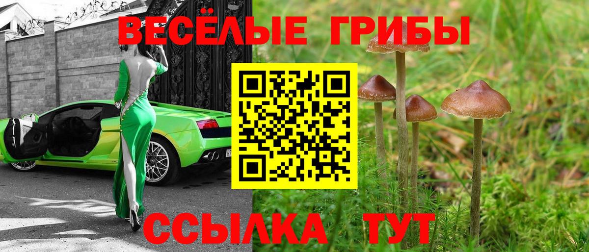 Псилоцибиновые грибы Psilocybe  Псилоцибиновые грибы ЛСД  Вход с VPN  Шелехов 